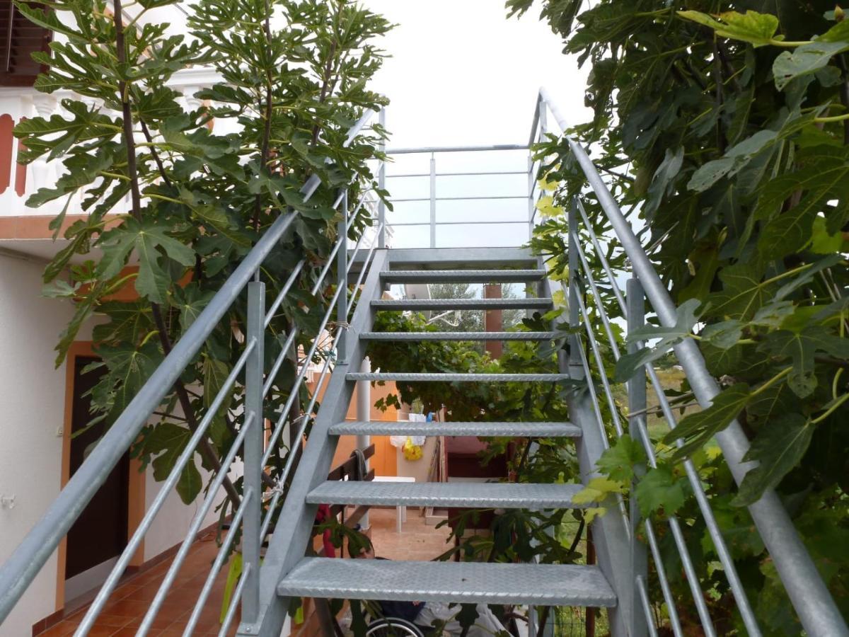 Apartmani Veronika Nin Εξωτερικό φωτογραφία